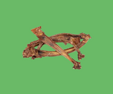 Veal Rib Sticks Dog Treats